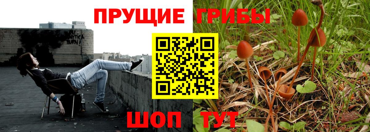 Снежинск  Псилоцибиновые грибы Psilocybine cubensis  хочу   Вход с VPN 