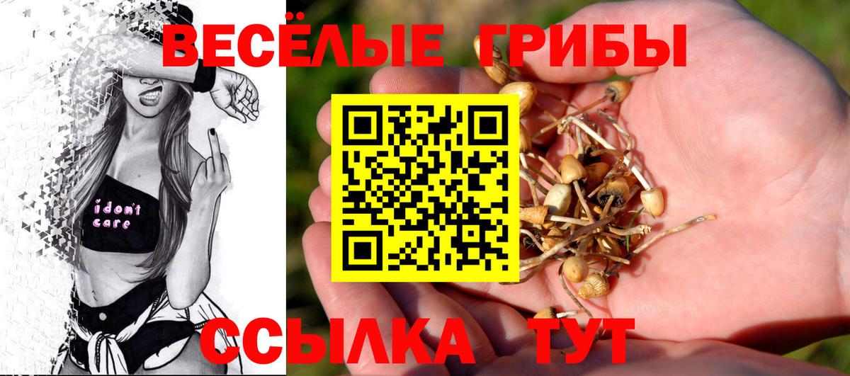 Галлюциногенные грибы Cubensis Снежинск